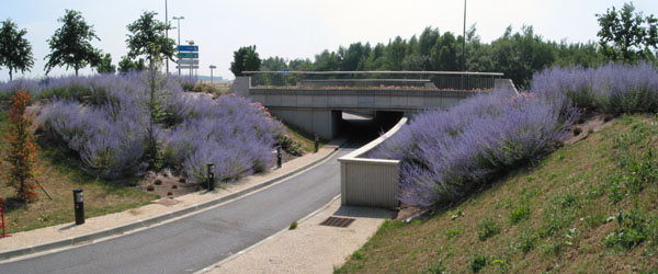 Accs Technocentre - image 1